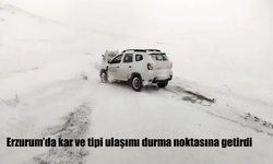 Erzurum'da kar ve tipi ulaşımı durma noktasına getirdi