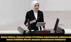 Bakan Göktaş'tan müjde: Doğum izni teklifi meclis yolunda