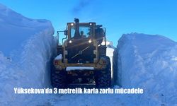 Yüksekova'da 3 metrelik karla zorlu mücadele