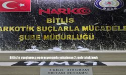Bitlis'te uyuşturucu operasyonunda yakalanan 2 zanlı tutuklandı