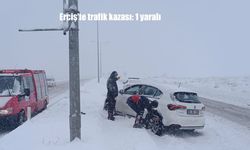 Erciş'te trafik kazası: 1 yaralı