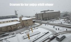 Erzurum’da kar yağışı etkili oluyor