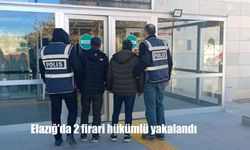 Elazığ'da 2 firari hükümlü yakalandı