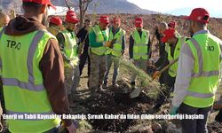 Enerji ve Tabii Kaynaklar Bakanlığı, Şırnak Gabar'da fidan dikim seferberliği başlattı
