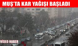 Muş’ta kar mesaisi başladı: Valilikten kritik uyarı!