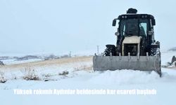 Yüksek rakımlı Aydınlar beldesinde kar esareti başladı