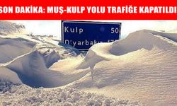 Muş-Kulp kara yolunda kar esareti: Yol trafiğe kapatıldı