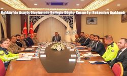 Hakkari’de Asayiş Olaylarında Belirgin Düşüş: Kasım Ayı Rakamları Açıklandı