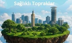 Sağlıklı Şehirler İçin Sağlıklı Topraklar: 5 Aralık Dünya Toprak Günü’nde Uzmandan Kritik Uyarılar