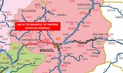 Bingöl’de Kar Nedeniyle Bazı Yollar Trafiğe Kapandı