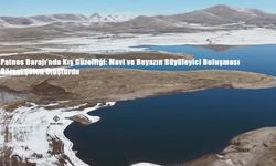 Patnos Barajı’nda Kış Güzelliği: Mavi ve Beyazın Büyüleyici Buluşması Görsel Şölen Oluşturdu