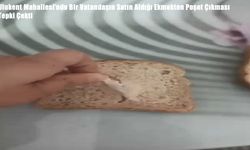 Elazığ’da Satın Alınan Ekmekten Çıkan Poşet Şoke Etti: Hijyen Tartışmaları Yeniden Gündemde