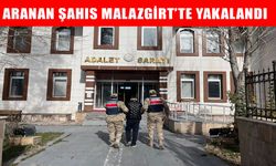 Muş'ta aranan şahıs jandarma operasyonuyla yakalandı