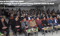 Türkiye’de Barış Nasıl Tesis Edilir? Van’da Toplumsal, Siyasal ve Ekonomik Boyutlar Kapsamlı Şekilde Ele Alındı