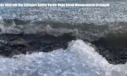 Çıldır Gölü’nde Buz Kütleleri Sahile Vurdu