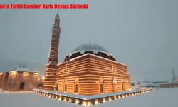 Van’ın Tarihi Camileri Karla Beyaza Büründü