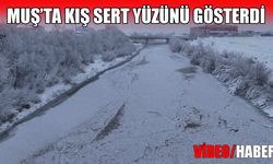 Muş buz kesti: Dere ve göletler dondu