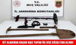 Muş'ta kaçak kazı operasyonu: 3 gözaltı