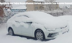 Başkale’de Kar Yağışı Hayatı Olumsuz Etkiledi: 11 Mahalle Yolu Ulaşıma Kapandı