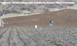Şırnak’ta Kış Ekimiyle Yüksek Verim Hedefi