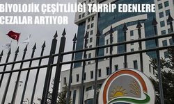 Biyolojik Çeşitliliği Tahrip Edenlere Cezalar Artıyor