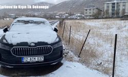 Bingöl’ün Karlıova İlçesi Karla Kaplandı: Beyaz Örtü Hayatın Ritmini Değiştirdi