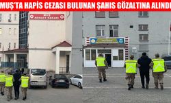 Muş’ta 3 yıl hapis cezasıyla aranan şahıs yakalanarak cezaevine gönderildi