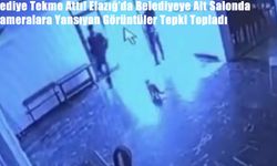 Kediye Tekme Attı, O Anlar Kameraya Yansıdı
