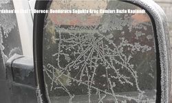 Ardahan’da Eksi 17 Derece: Dondurucu Soğukta Araç Camları Buzla Kaplandı