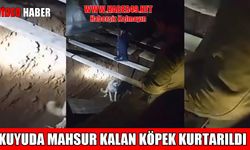 Muş’ta kanalizasyon kuyusuna düşen köpeği itfaiye ekipleri kurtardı