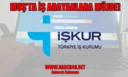 Muş’ta iş arayanlara müjde: İŞKUR işçi alımı yapacak