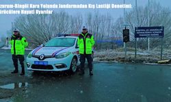 Erzurum-Bingöl Kara Yolunda Jandarmadan Kış Lastiği Denetimi