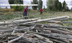 Erzincan Kırsalında Kış Hazırlıkları Yapılıyor