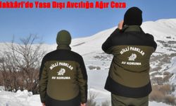 Hakkâri’de Yasa Dışı Avcılığa Ağır Ceza: Yaban Keçisi Avlayan Şahsa 956 Bin 619 TL Yaptırım