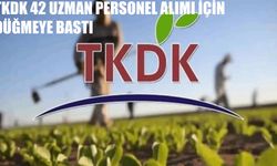 TKDK 42 Uzman Personel Alımı İçin Düğmeye Bastı: Başvurular e-Devlet Üzerinden Yapılacak