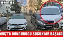 Muş'ta dondurucu soğuklar başladı: Araç camları buz tuttu