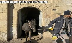 Mardin’de Kadrolu Eşekler Emekliye Ayrılıyor: Artuklu’nun Temizliği Artık Teknolojik Araçlarla Yapılacak