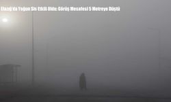 Elazığ’da Yoğun Sis Etkili Oldu: Görüş Mesafesi 5 Metreye Düştü