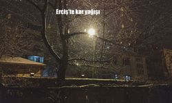 Erciş'te kar yağışı