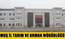 ARAÇ KİRALAMA HİZMETİ ALINACAKTIR