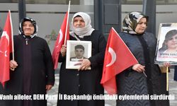 Vanlı aileler, DEM Parti İl Başkanlığı önündeki eylemlerini sürdürdü