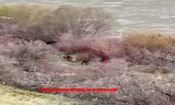 Palu’da Balıkçının Karşısına Ayı ve Yavrusu Çıktı