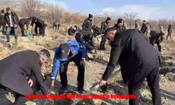 Erzincan'da 600 Fidan Toprakla Buluştu