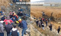 Van'da araç bataklığa uçtu: 5 yaralı