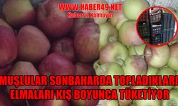 Muş’un organik elmaları kış boyu tazeliğini koruyor