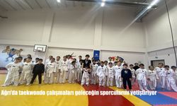 Ağrı'da taekwondo çalışmaları geleceğin sporcularını yetiştiriyor