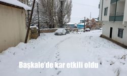 Başkale'de kar etkili oldu