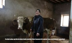 8 erkek adayı geride bırakan kadın muhtar: Hem hayvancılık yapıyor hem mahallesini yönetiyor