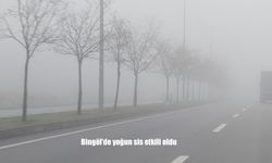 Bingöl’de yoğun sis etkili oldu