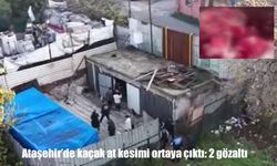 Ataşehir’de kaçak at kesimi: 2 gözaltı